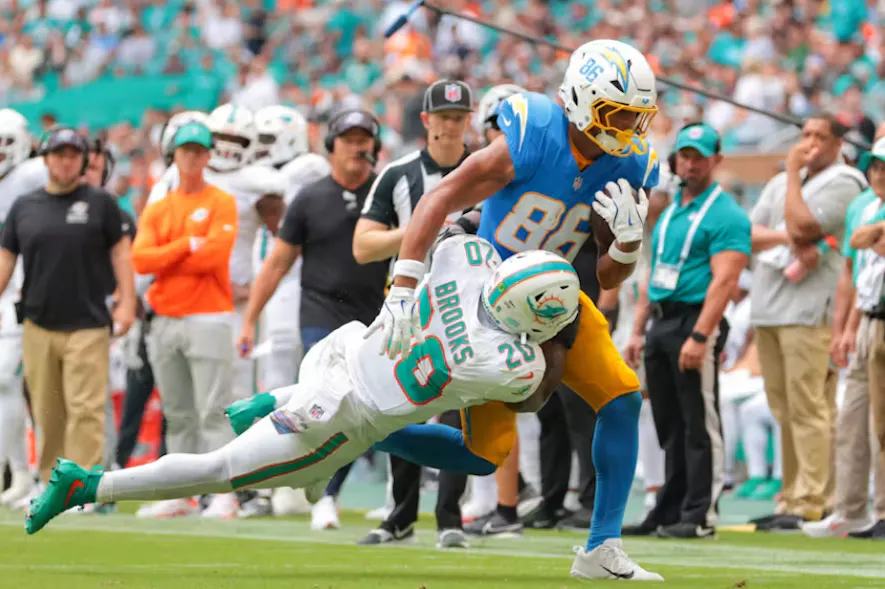 idp miami dolphins