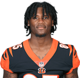 Tee Higgins NFL Stats The Rise of a Promising Young Wide Receiver